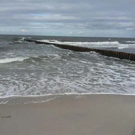 Strandkrabbe *
